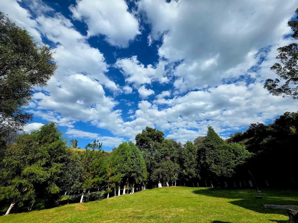 Jardín para sesión de fotos de XV